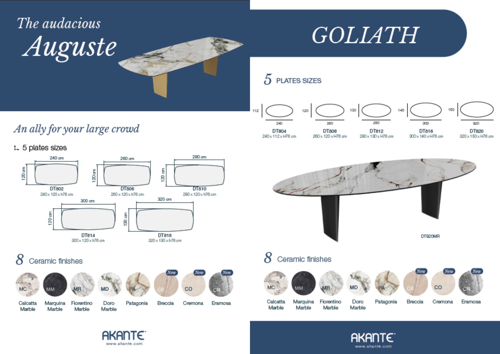 FLYER GOLIATH AUGUSTE